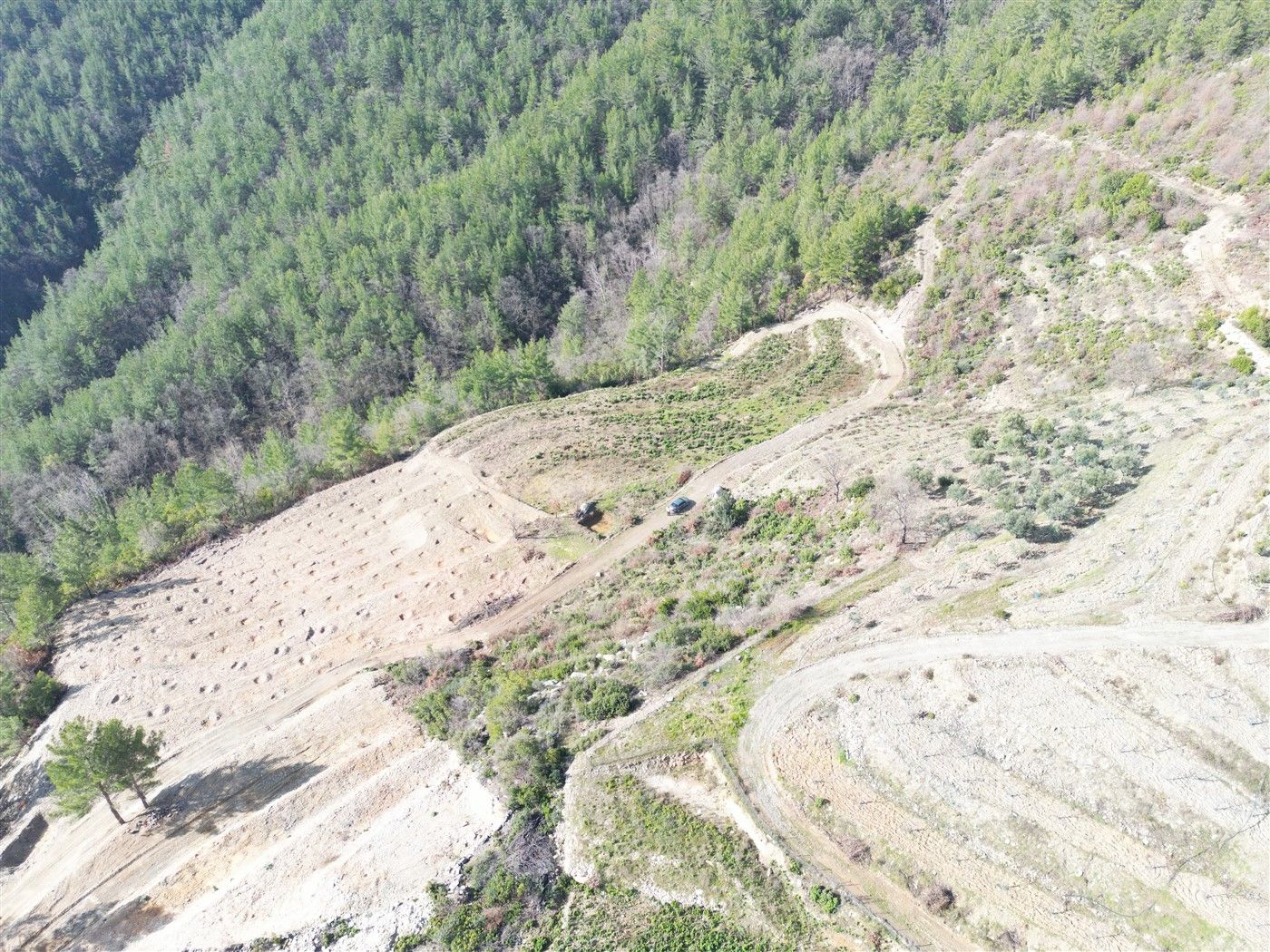 Agricultural land in Alanya
