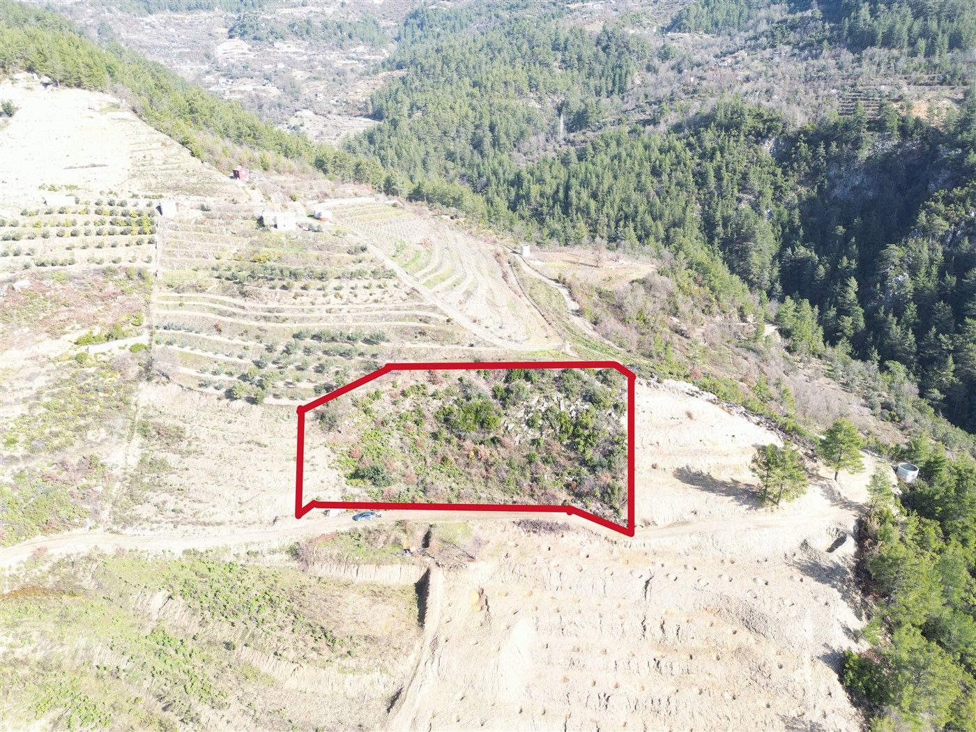 Agricultural land in Alanya